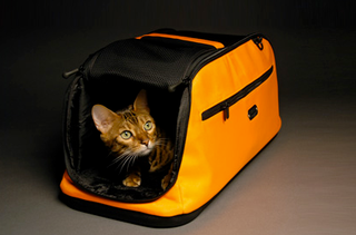 Illustration for article titled Gifts For Pets Owned By Geeks Who Treat Them Like Spoiled Children